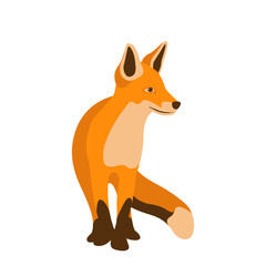 Fox vector illustration style Flat