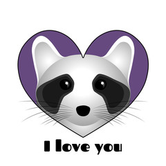 Raccoon in purple heart.
