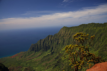 NaPali Coast from the Overlook B
