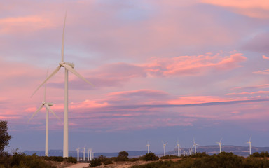 Wind energy park at sunset
