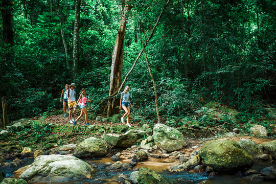 group of tourists hiking through deep jungle in thailand beside rocky stream