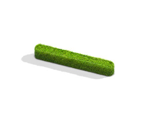 Grass slash punctuation mark from isometric angle with shadow on ground.