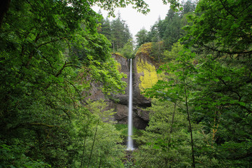 Latourell falls waterfall, Oregon