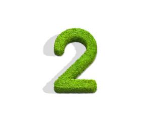 Grass number 2 from top angle with shadow on ground.