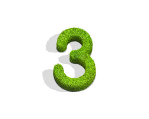 Grass number 3 from top angle with shadow on ground.