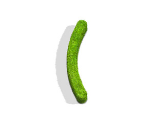 Grass bracket punctuation mark from top angle with shadow on ground.