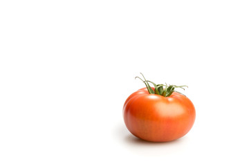 One realistic looking tomato isolated in a white background