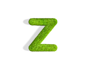 Grass letter Z in lowercase format from top angle with shadow on ground.