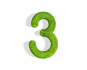 Grass number 3 from top angle with shadow on ground.