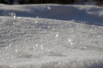 Frozen bubble during winter. Slovakia