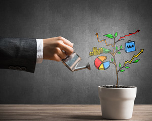 Drawn income tree in white pot for business investment savings and making money
