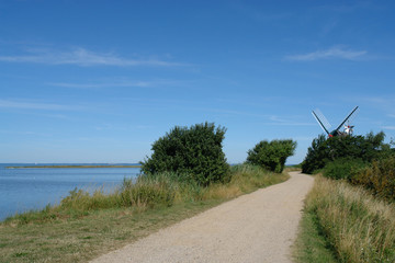 Naturschutzgebiet Geltinger Birk an der Ostsee in Norddeutschland