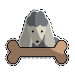 dog breed icon image vector illustration design 