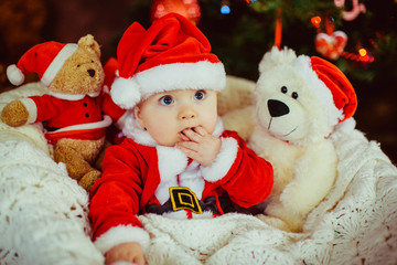 The baby sitting on the basket near Christmas Tree