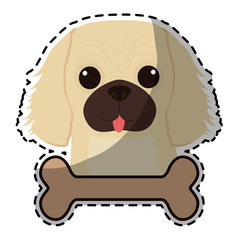 dog breed icon image vector illustration design 