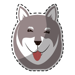 husky dog breed icon image sticker vector illustration design 