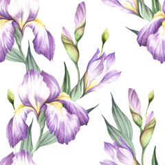 Seamless pattern with iris. Hand draw watercolor illustration.
