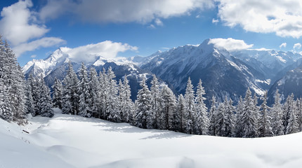 Fototapeta na wymiar Panorama einer Winterlandschaft in den Alpen