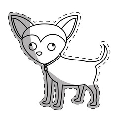 chihuahua dog breed icon image sticker vector illustration design 