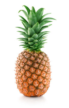 pineapple isolated on the white background