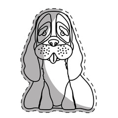 pedigree dog breed icon image sticker  vector illustration design 