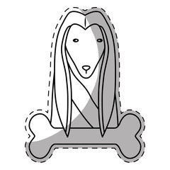 pedigree dog breed icon image sticker  vector illustration design 