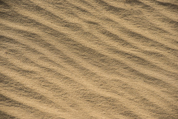 dunes