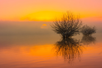 Fototapeta na wymiar Stimmungsvoller Sonnenaufgang am Wasser bei Nebel