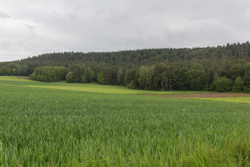 spring in bavaria