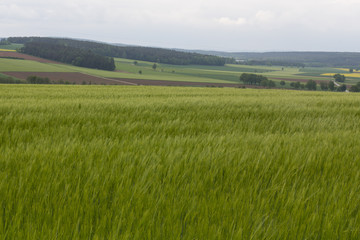 Obraz premium spring in bavaria
