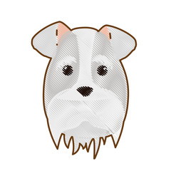 schnauzer dog face icon over white background. colorful design. vector illustration