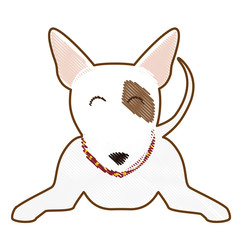 bull terrier dog icon over white background. colorful design. vector illustration
