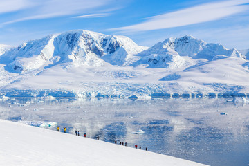 Group of people hiking the snowy mountains, Neco bay, Antarctic © vadim.nefedov