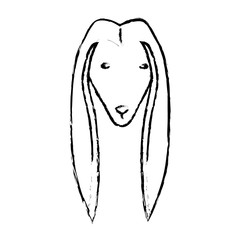 pedigree dog breed icon image sketch style vector illustration design 