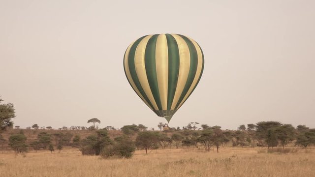 CLOSE UP: Safari hot air balloon flying close above the ground on sunny day
