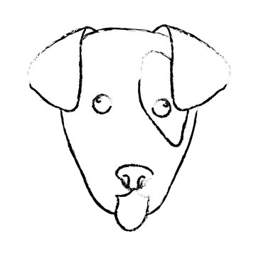 pedigree dog breed icon image sketch style vector illustration design 