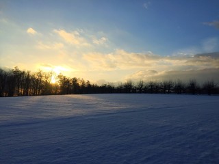 sonnenuntergang am waldrand