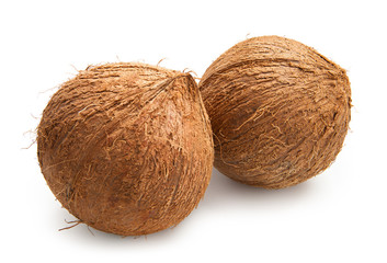 coconuts isolated
