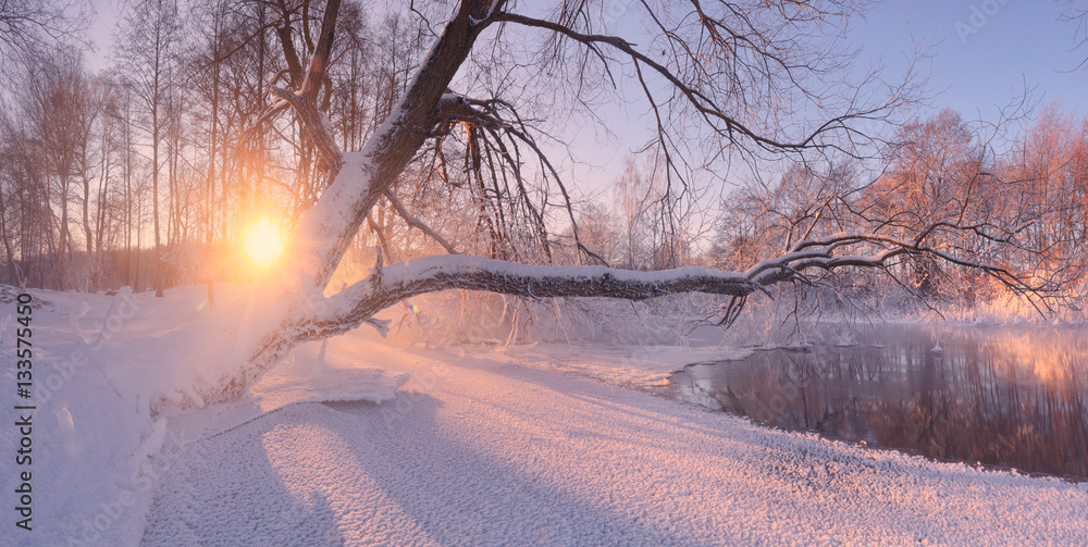 Poster sunny winter sunrise