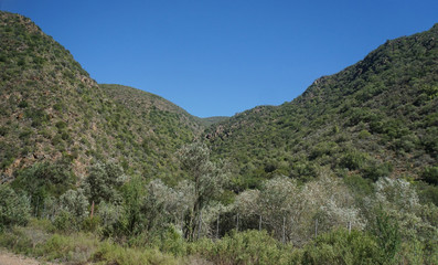 Halbwüste in Südafrika / Landschaft in der Halbwüste Kleine Karoo in der Republik Südafrika, Berge, karge Vegetation und blauer Himmel