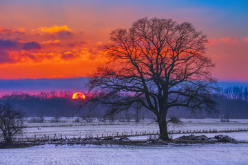 Winter Sonnenuntergang 1 / Sonnenuntergang &uuml;ber der Elbtalaue im Naturpark Elbh&ouml;hen-Wendland. Aufgenommen bei Pred&ouml;hlsau (L&uuml;chow-Dannenberg, Niedersachsen), am 16. Januar 2017.