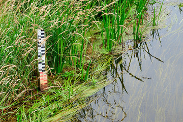 Water level scale stock standing in high grass at the edge of a river