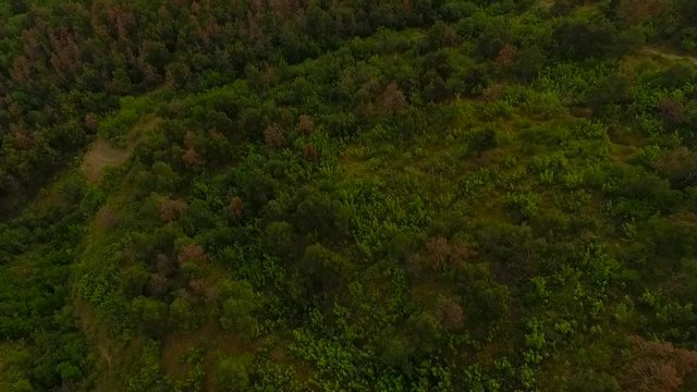 AERIAL: views of Tbilisi from the mountain
