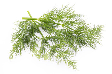 Fresh dill on the white background.