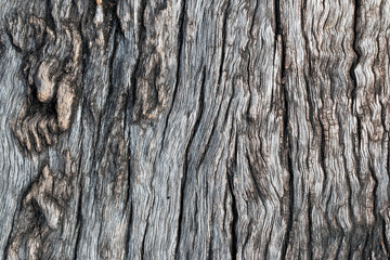 Obraz premium wood texture. background old panels