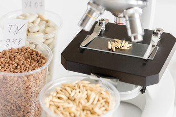 Tests for pesticides in cereal in at laboratory