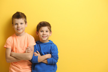 Cute little brothers standing on yellow background