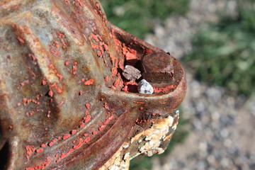 Rusty fire hydrant with peeling red paint.