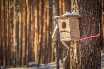 nesting box on a tree in winter fores