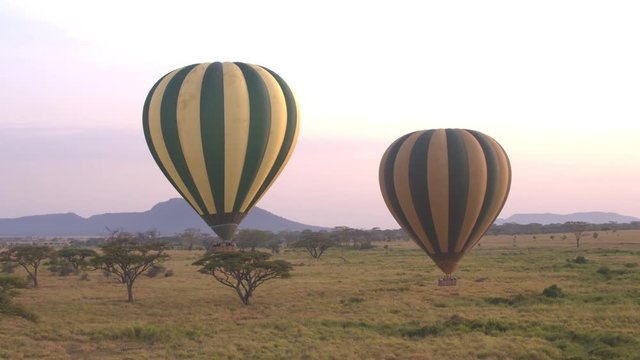 CLOSE UP: Safari hot air balloons full of happy tourists rising above the ground